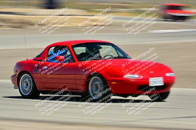 media/May-24-2025-Turn8 Trackdays (Sat) [[034586b55d]]/5 Inter 1/Session 2 (Cotton Corners-Grapevine)/